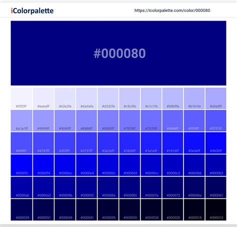 navy blue colors hex code